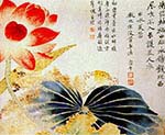 Lotus Flower Breaking the Surface
